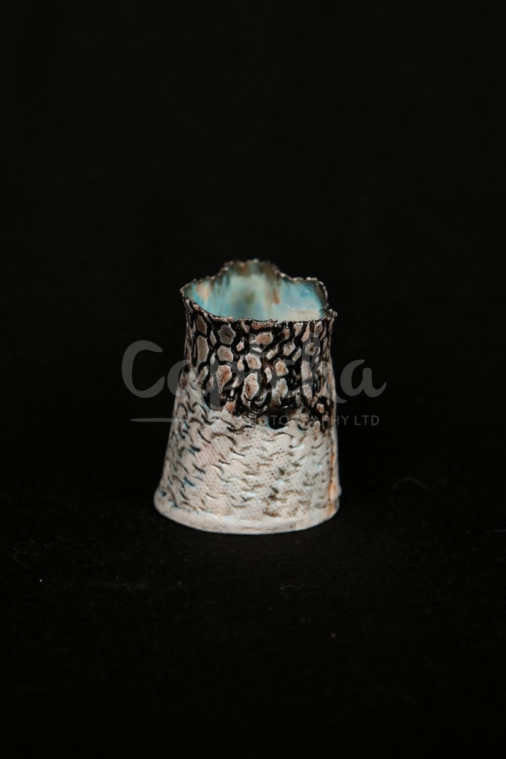 Ceramic Artist Sara Budzik on snails... 