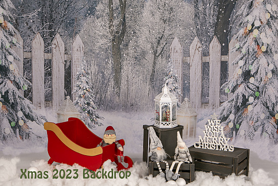 Xmas & Themed Backdrop Ideas