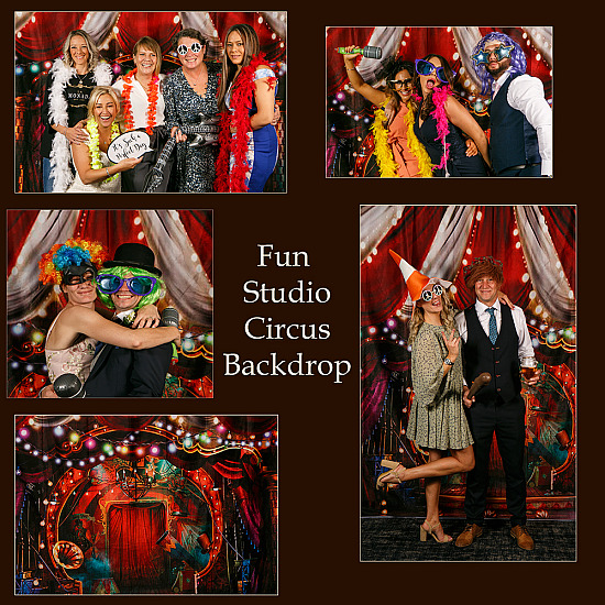 Xmas & Themed Backdrops
