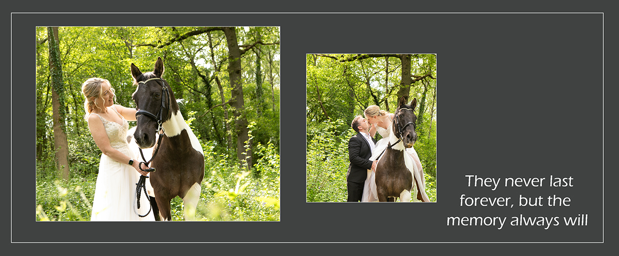 HorseMemory.jpg